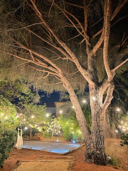 Villa Grand Mas Provencal, A 200m, Parking Prive Ferme, Piscine Chauffee