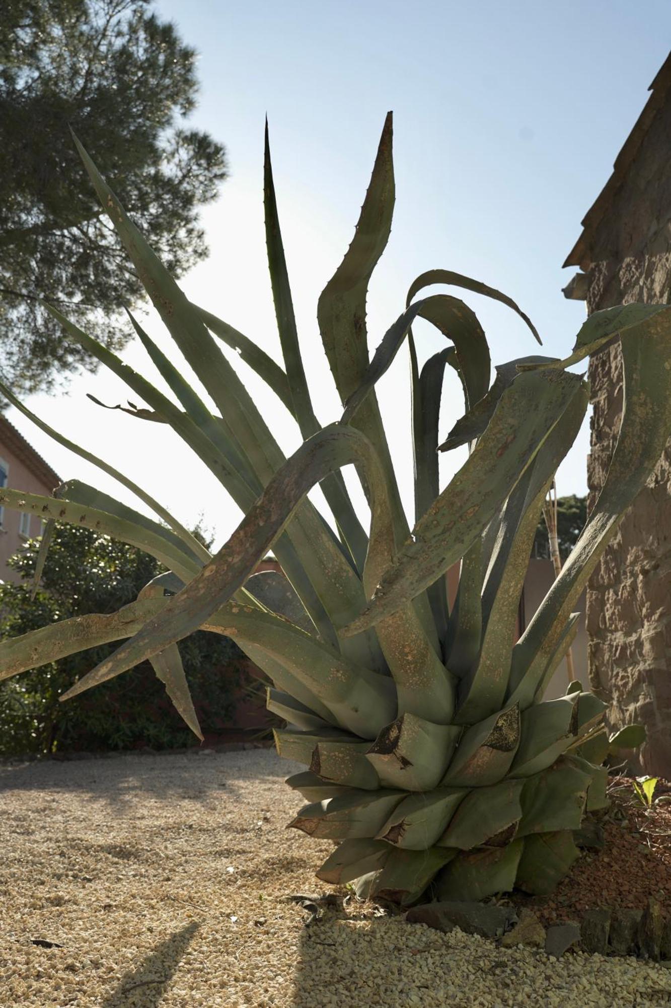 Villa Grand Mas Provencal, A 200m, Parking Prive Ferme, Piscine Chauffee *